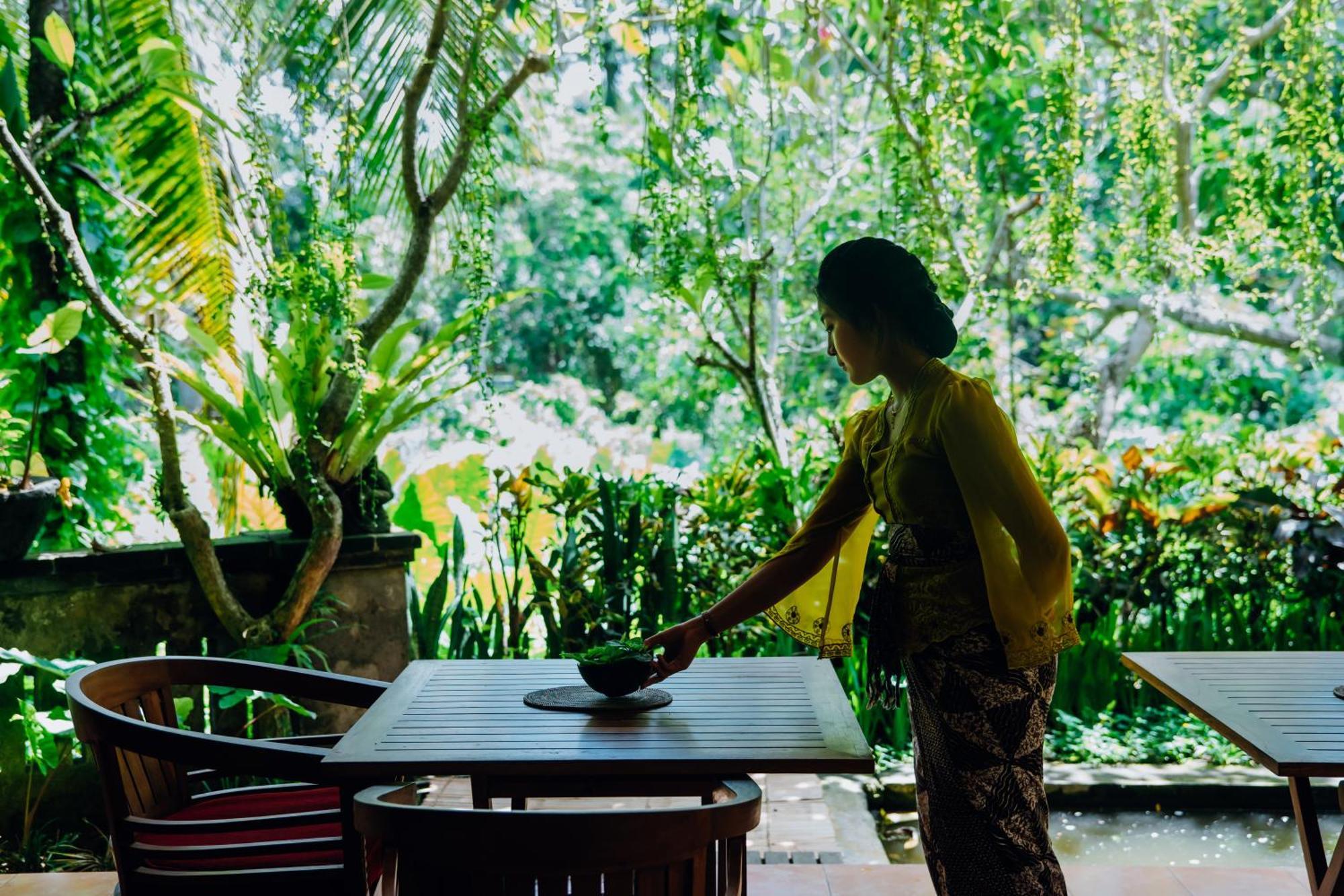 Jati 2* Ubud