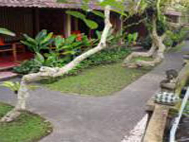 Jati 2* Ubud